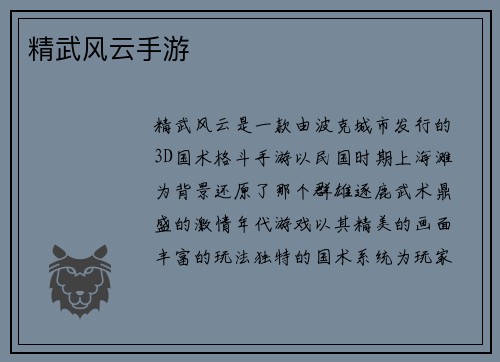 精武风云手游