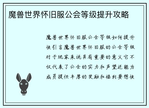 魔兽世界怀旧服公会等级提升攻略